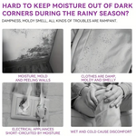 Hanging Closet Dehumidifier Bag – Mold & Moisture Absorbing Wardrobe Freshener